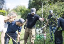 Zaměstnanci Bobcatu pomáhali v Dobříši. Upravovali hřiště, sázeli stromy i uklízeli ulice