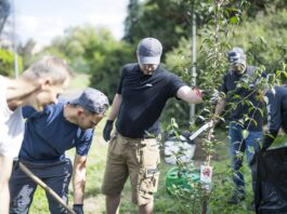 Zaměstnanci Bobcatu pomáhali v Dobříši. Upravovali hřiště, sázeli stromy i uklízeli ulice