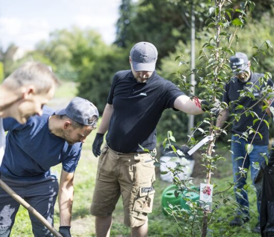 Zaměstnanci Bobcatu pomáhali v Dobříši. Upravovali hřiště, sázeli stromy i uklízeli ulice