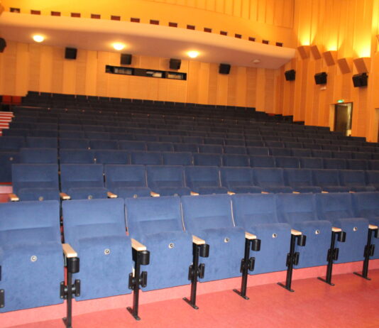 Příbram se zapojí do celorepublikových Kino dnů. Vstupenky budou za stovku