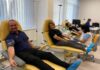 Zaměstnanci příbramské věznice darovali téměř tři litry krve