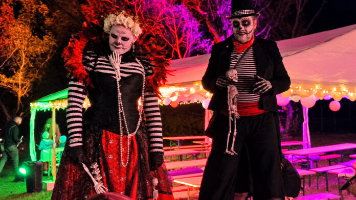 Dia de muertos Junior